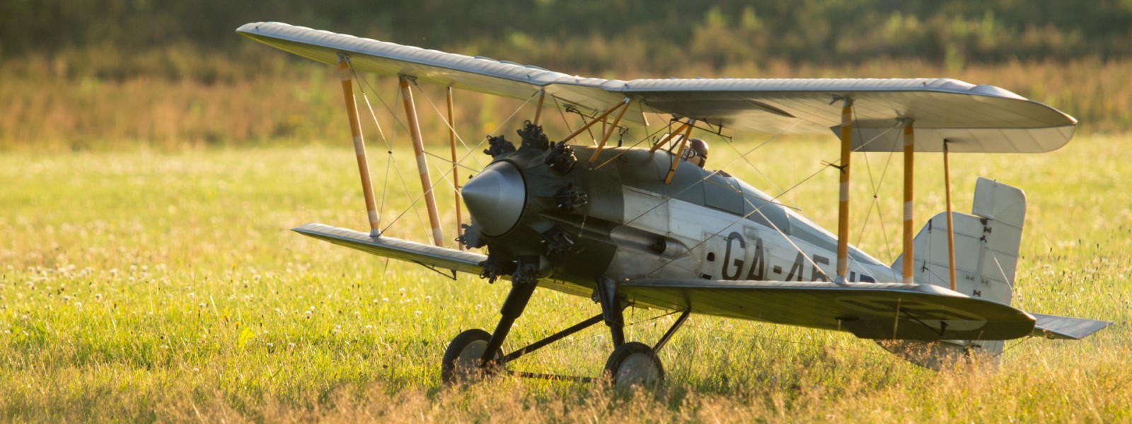 Awesome model : Gloster Gamecock GA-45 @ Jämi Scale Open 24.7.2015